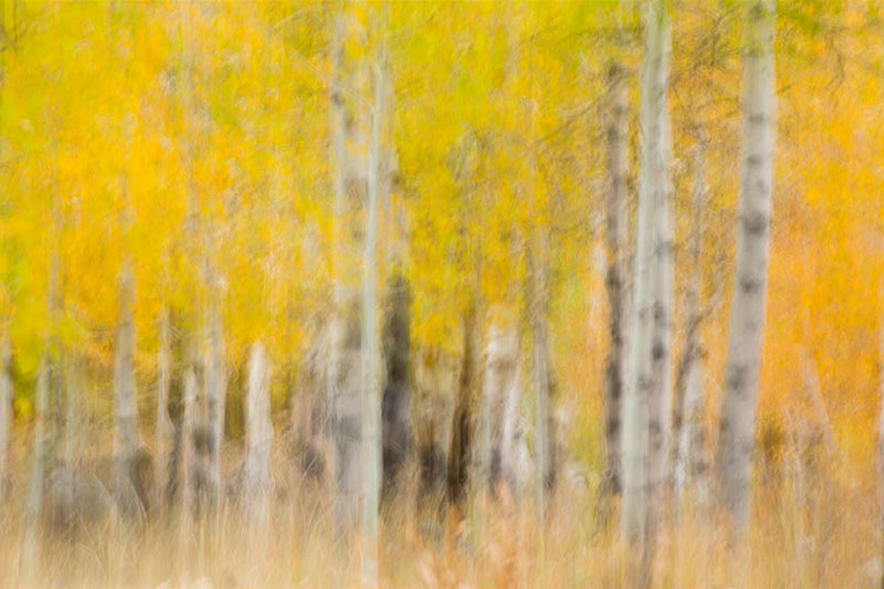 Abstract Photography